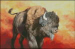 (image for) Tatonka Bison
